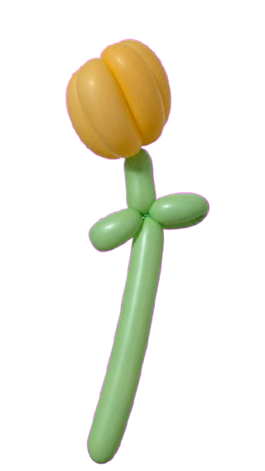 튤립 아트풍선